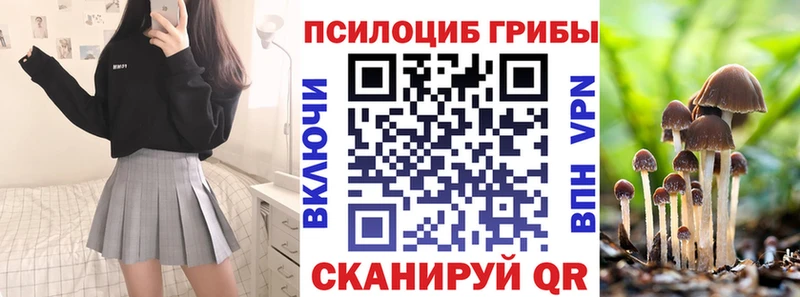 Галлюциногенные грибы Cubensis Чусовой