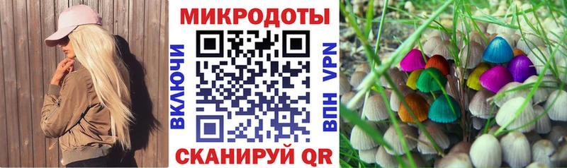 что такое наркотик Чусовой Галлюциногенные грибы Magic Shrooms